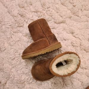 Chestnut uggs